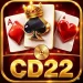 CCD2 Game