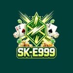 SK E999 Game
