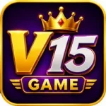 V15 Game